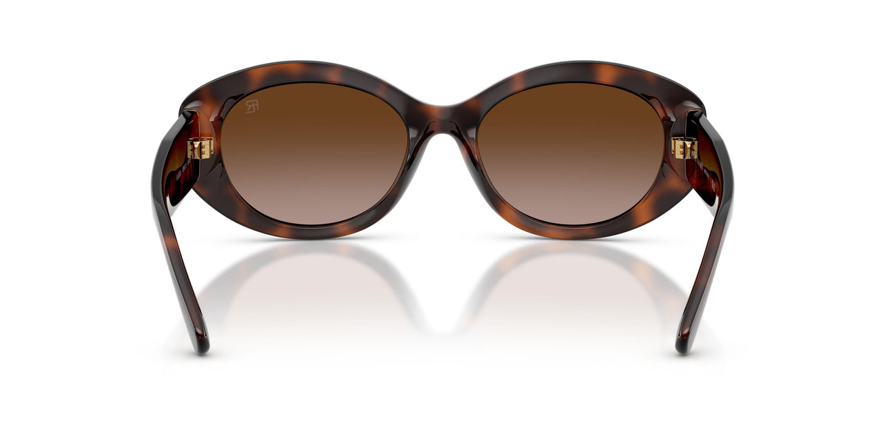 624113 - Tortoise - Gradient Brown