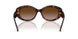 624113 - Tortoise - Gradient Brown
