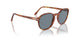 96/56 - Brown - Light Blue