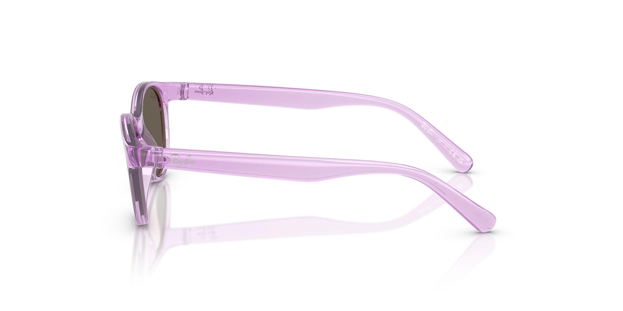 7172/3 - Violet - Brown