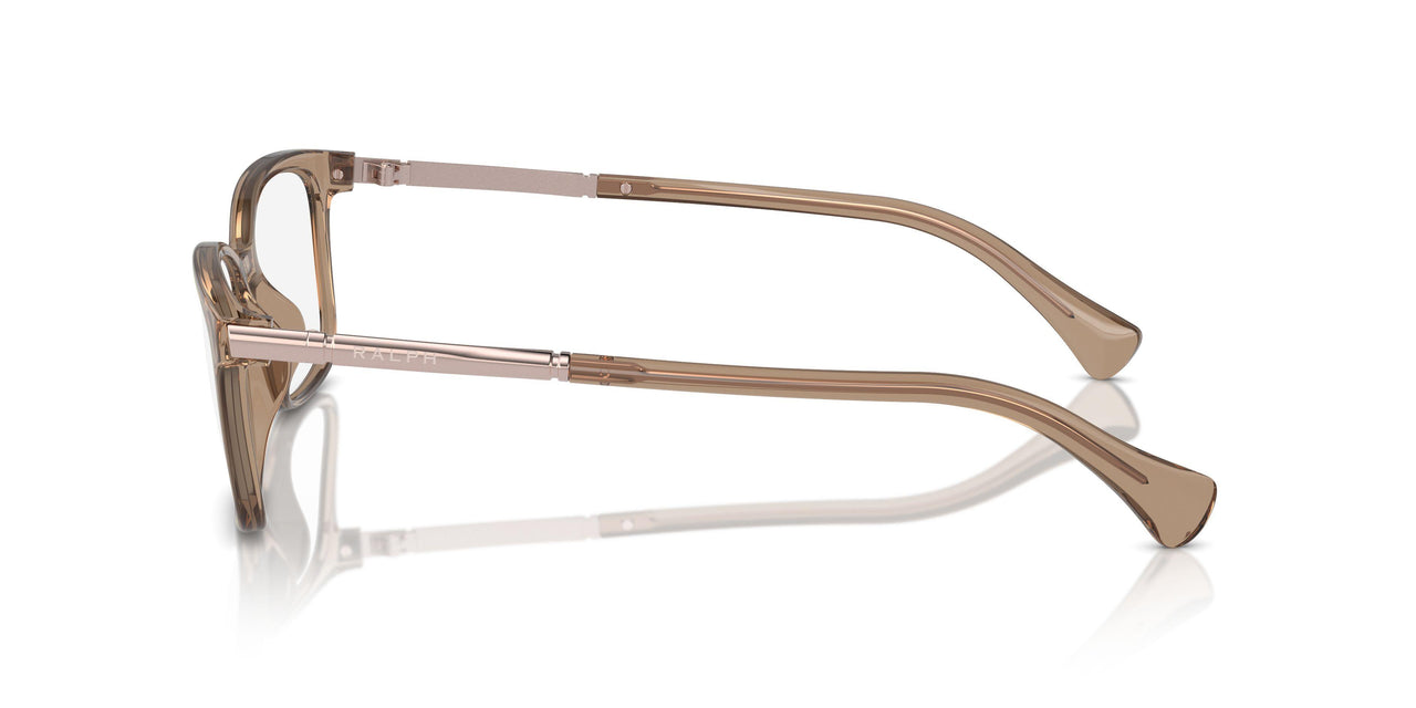 6120 - Brown