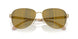 10149A - Gold - Dark Brown