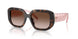 196413 - Tortoise - Gradient Brown