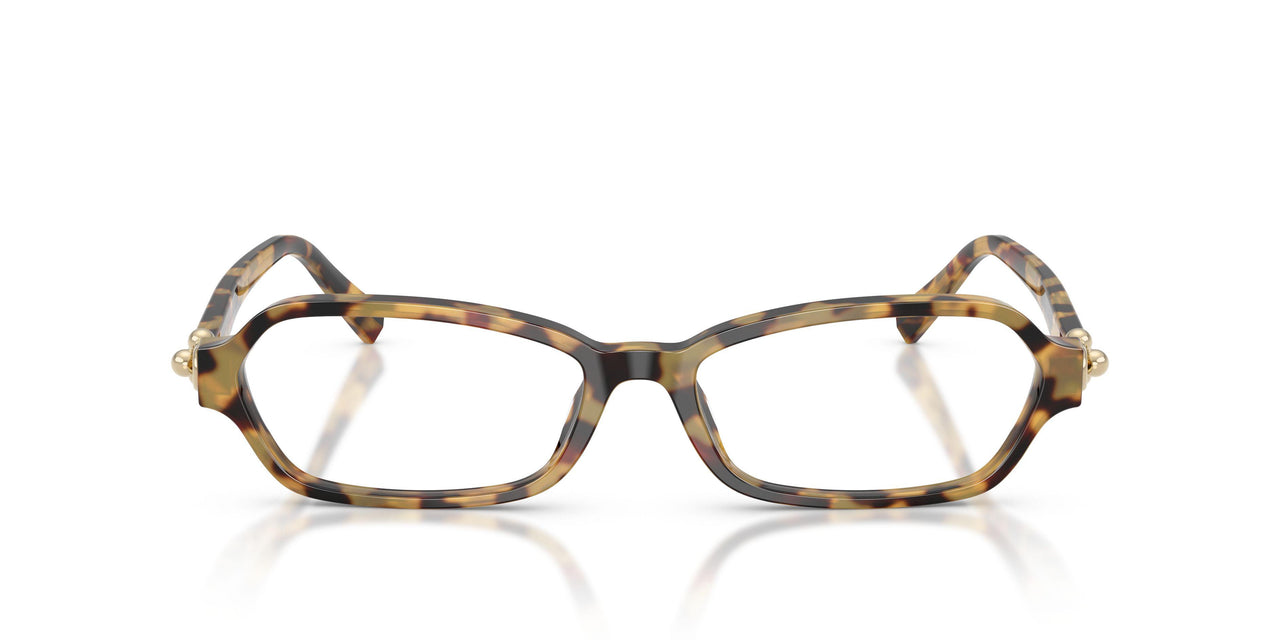 8064 - Tortoise