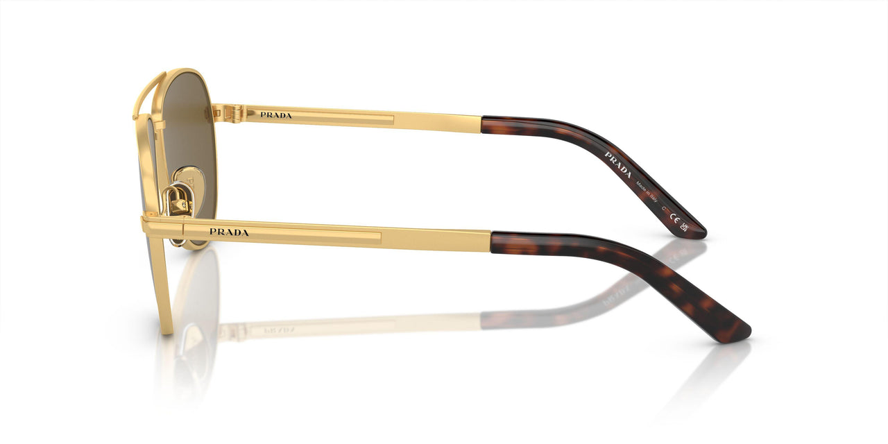 1BK01T - Gold - Dark Brown