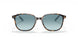 13163M - Brown - Blue