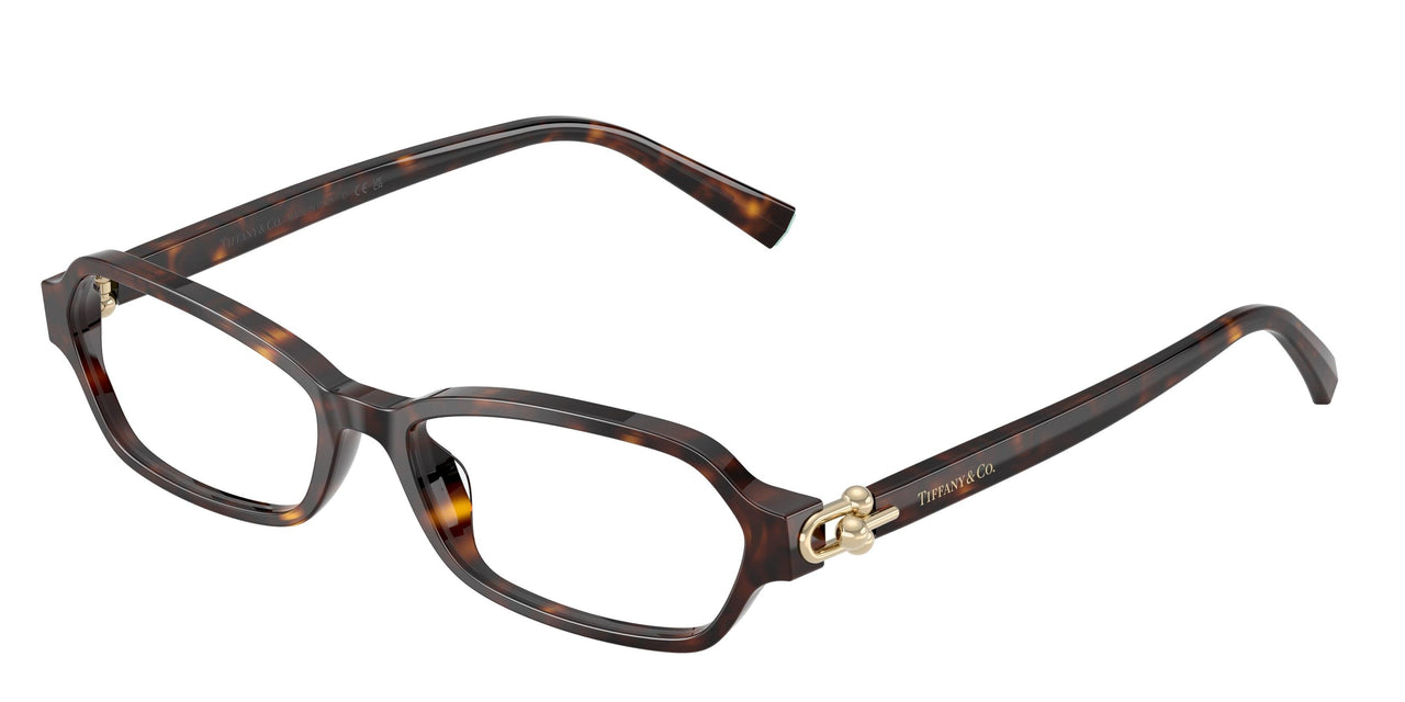 8015 - Tortoise