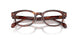 3034 - Tortoise