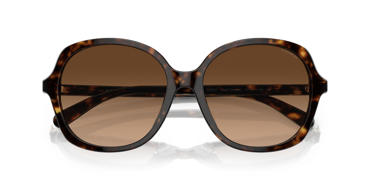 512074 - Tortoise - Brown Gradient