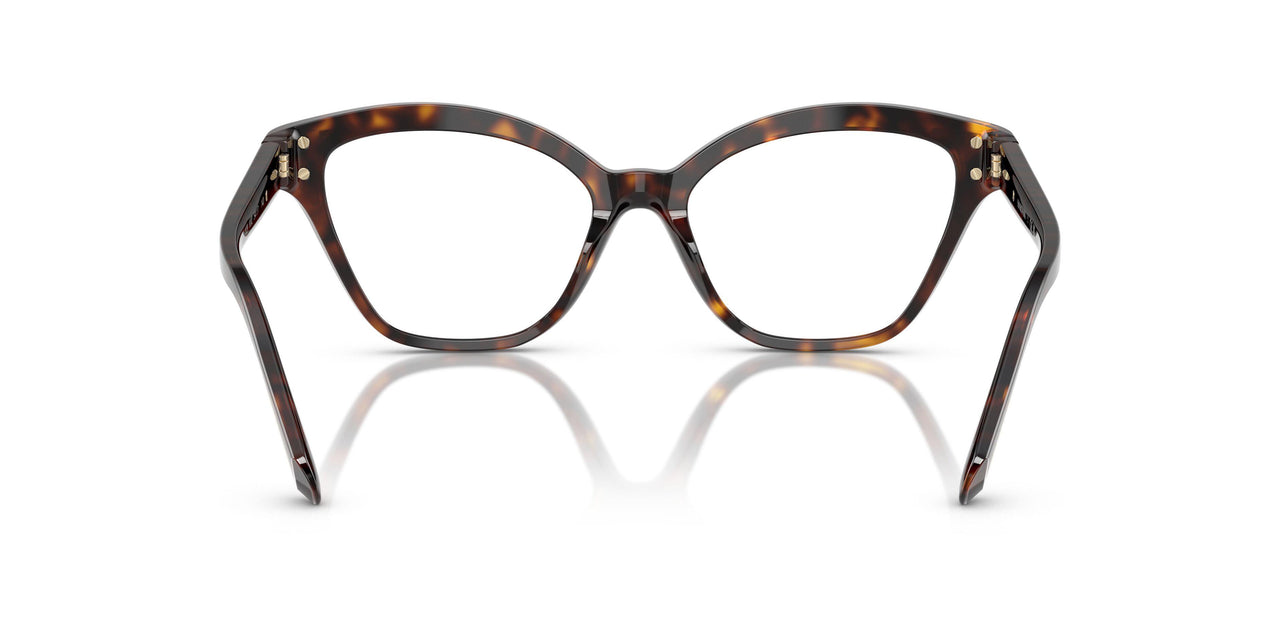 1002 - Brown