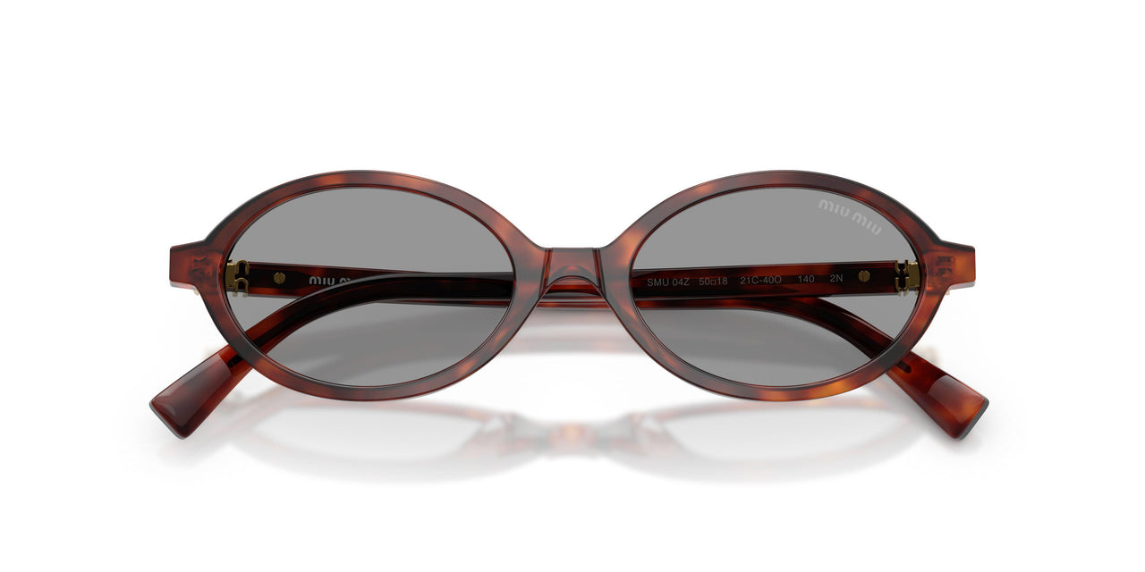 21C40O - Tortoise - Grey