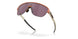 924813 - Brown - Prizm Black