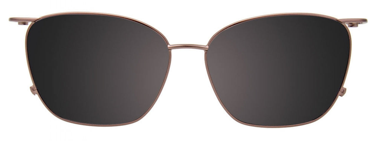 20 - Grey & Grey Tortoise / Grey