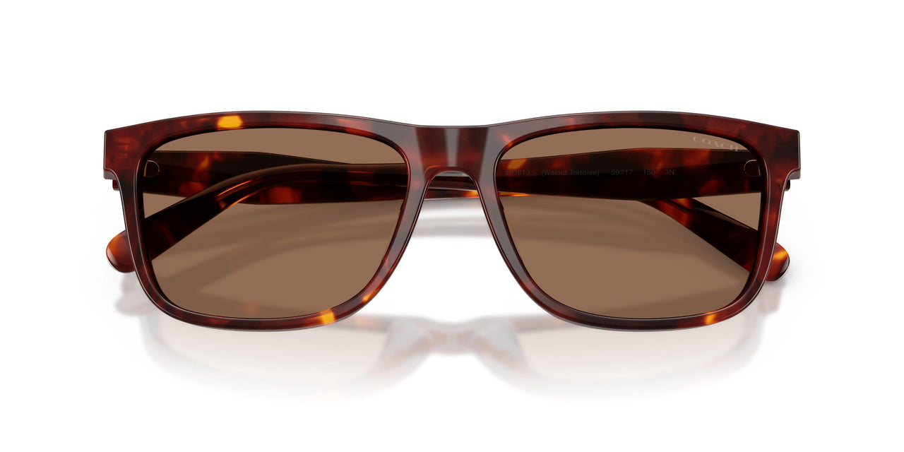 593813 - Tortoise - Brown Solid