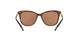 13782T - Havana - Gold Mirror Polarized