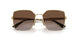 848/T5 - Gold - Gradient Brown Polar
