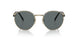 AAV5Z1 - Gold - Polar Dark Grey