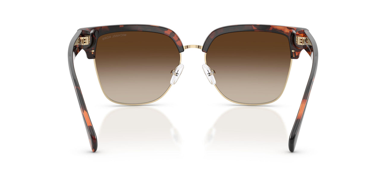 300613 - Tortoise - Smoke Gradient