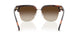 300613 - Tortoise - Smoke Gradient