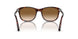24/51 - Tortoise - Clear Gradient Brown