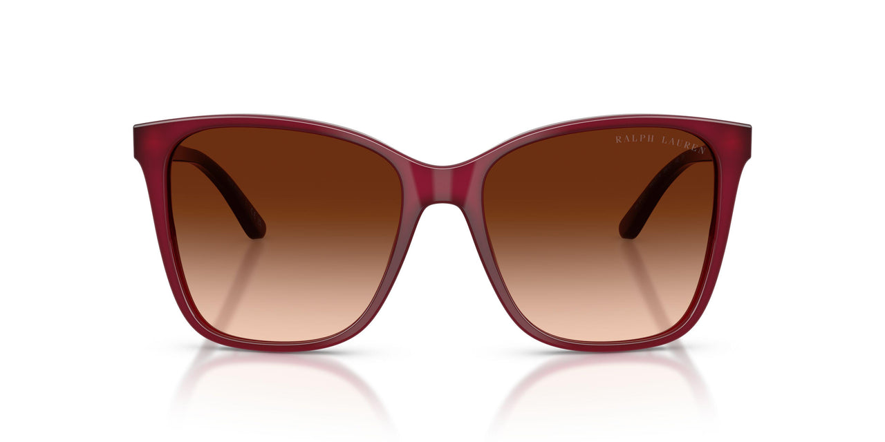 591274 - Violet - Gradient Brown