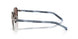 5AV05C - Grey - Polar Light Brown
