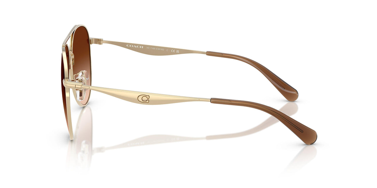 900574 - Gold - Brown Gradient