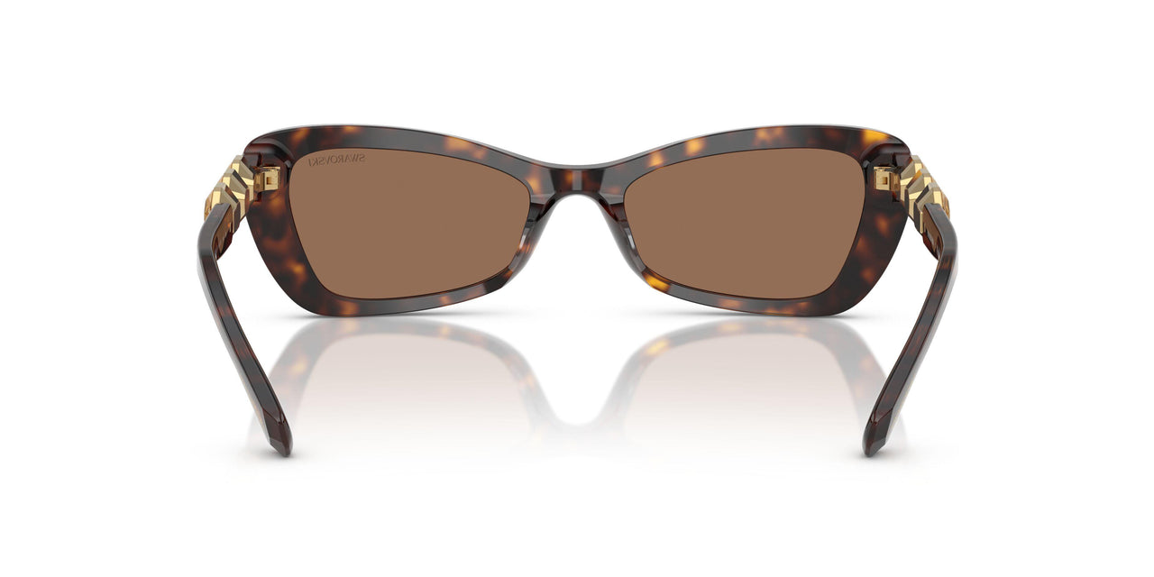 100273 - Tortoise - Dark Brown