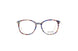 Divaldi DVO8179 Eyeglasses