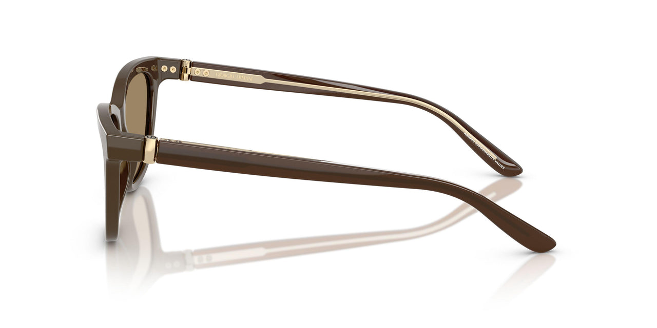 595753 - Brown - Brown