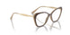3101 - Brown