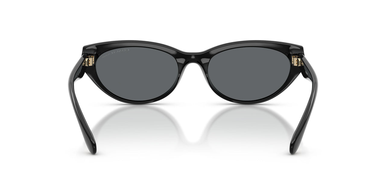 500281 - Black - Grey Solid Polar