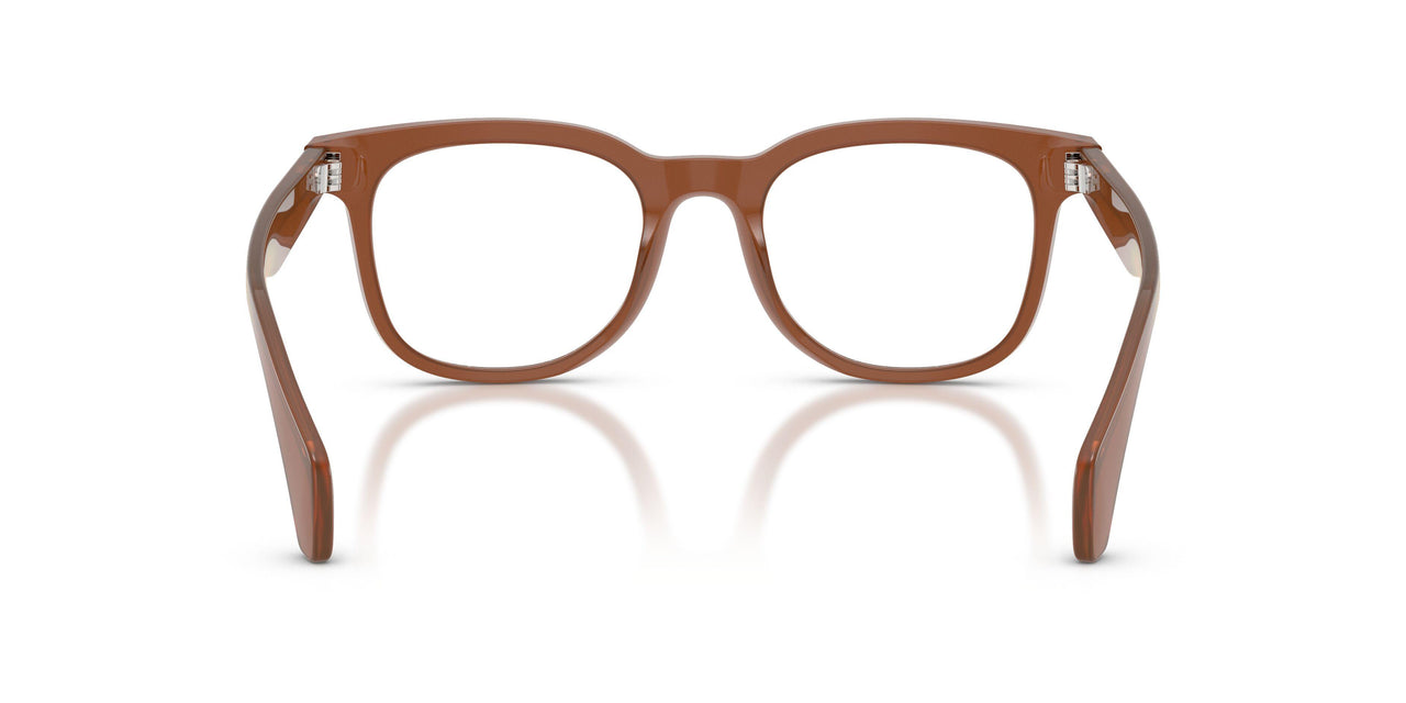 3029 - Brown
