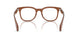 3029 - Brown
