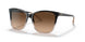 602274 - Black - Light Grad Brown