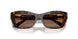 500273 - Tortoise - Dark Brown