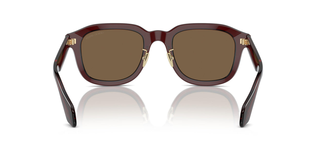 606273 - Brown - Dark Brown