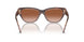 574413 - Tortoise - Brown Pink Gradient