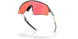 946531 - Silver - Prizm Trail Torch
