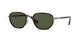 513/31 - Havana - Green