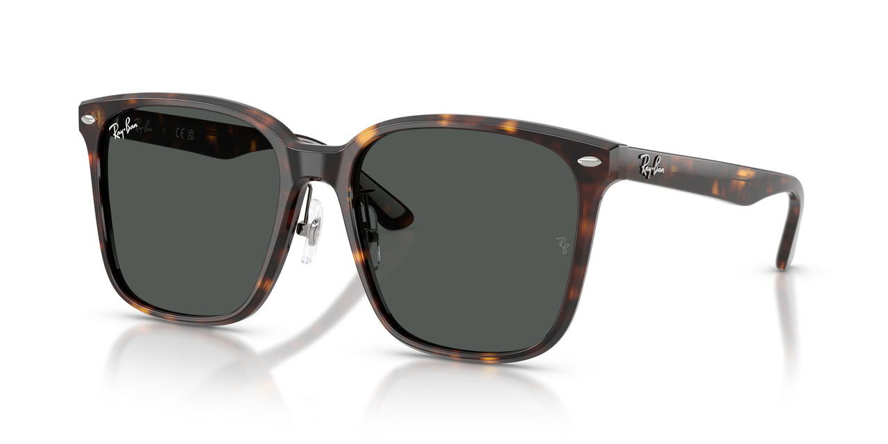 710/87 - Tortoise - Dark Grey
