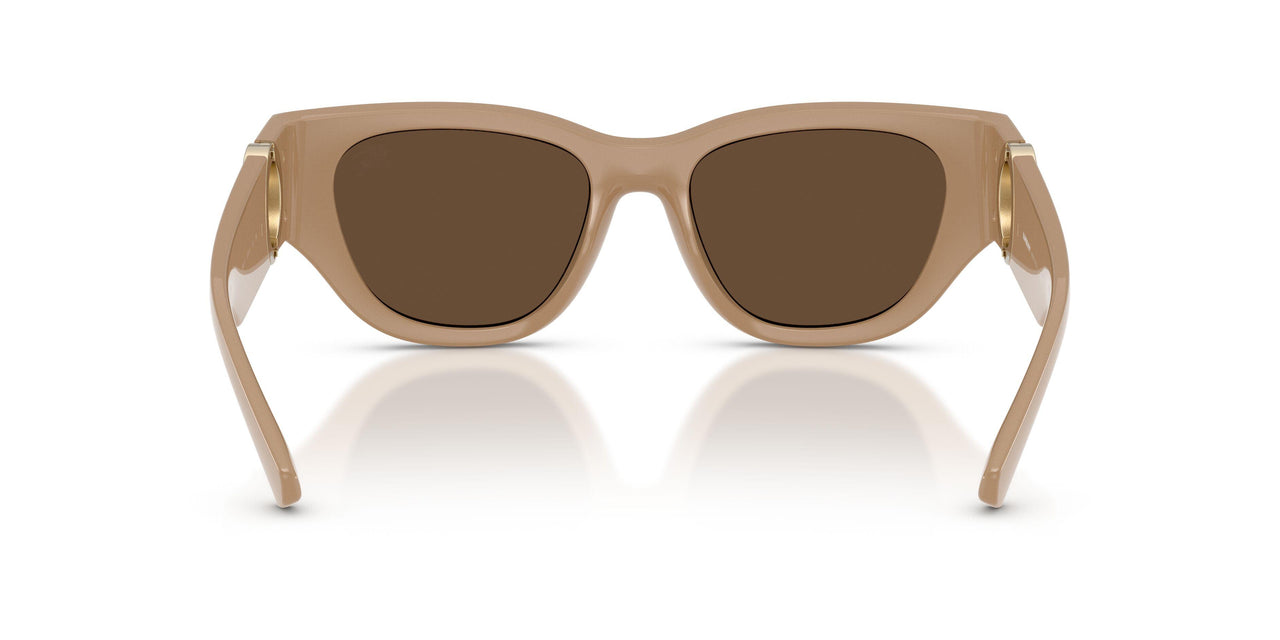 399073 - Beige - Dark Brown