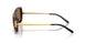 199273 - Tortoise - Dark Brown
