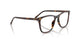 2012 - Tortoise