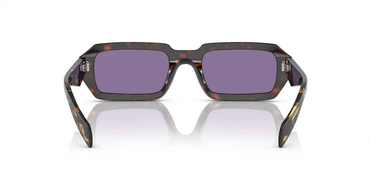 17N50B - Tortoise - Violet Mirror Silver Internal