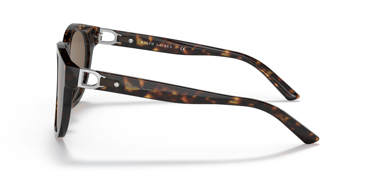 500373 - Havana - Dark Brown