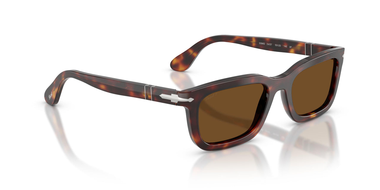 24/57 - Tortoise - Polar Brown