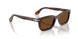 24/57 - Tortoise - Polar Brown