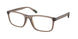 Polo 2291U Eyeglasses