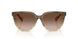 420113 - Brown - Brown Gradient